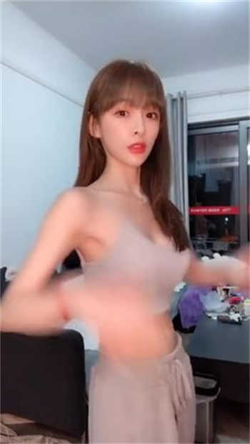 大象永久回家导航
