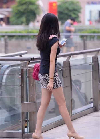 蔷薇hp下载
