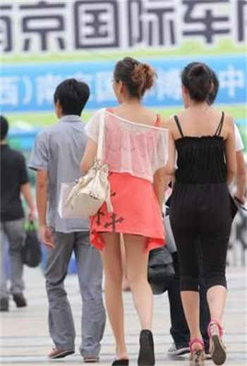 这贪欢惹的祸小说无弹幕