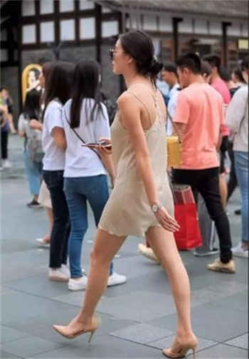 蝴蝶辅助一品官老爷