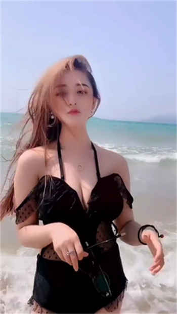 see高级版激活码