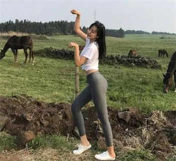 洋b和中国b区别