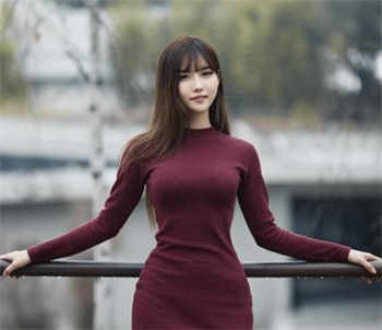 四叶草不用下载免费入口